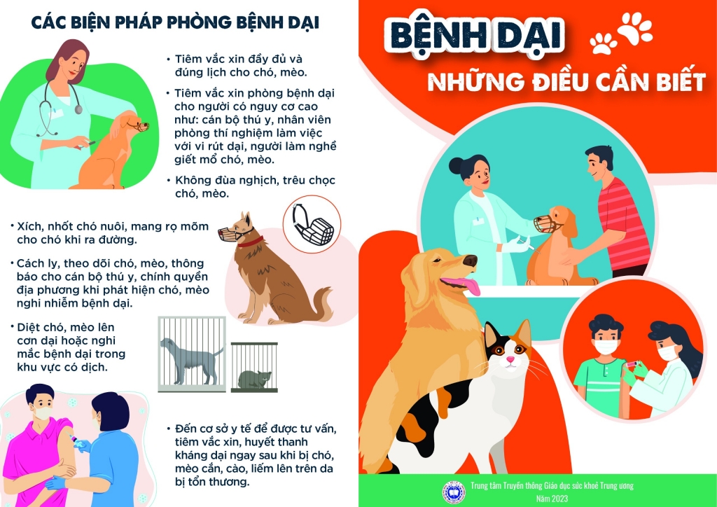 Bệnh dại – hiểm họa từ thói quen thả rông và nuôi chó mèo thiếu trách nhiệm