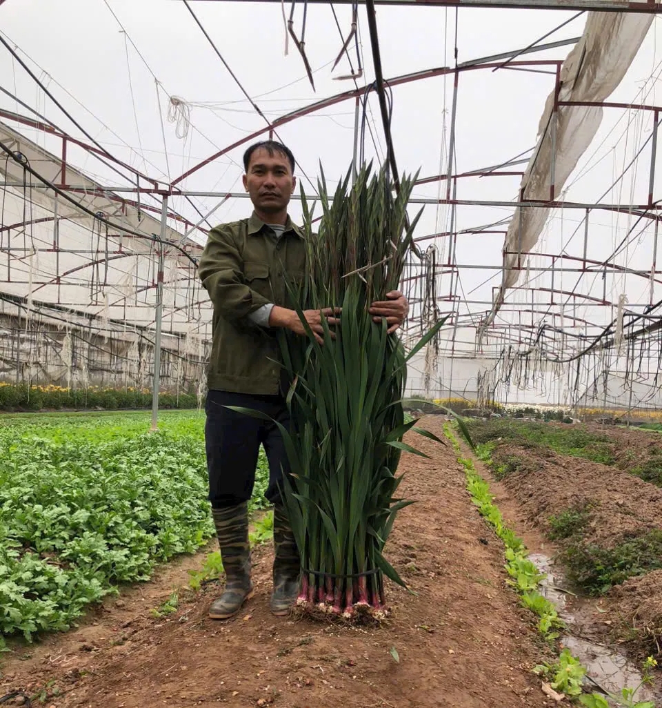 Ứng dụng công nghệ cao vào sản xuất nông nghiệp