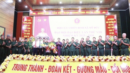 Đẩy mạnh chuyển đổi số, xây dựng Hội Cựu chiến binh vững mạnh toàn diện