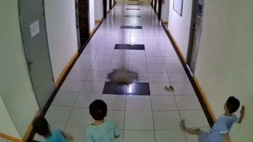 Tình huống pháp lý vụ bé trai ném dép làm hỏng thang máy chung cư