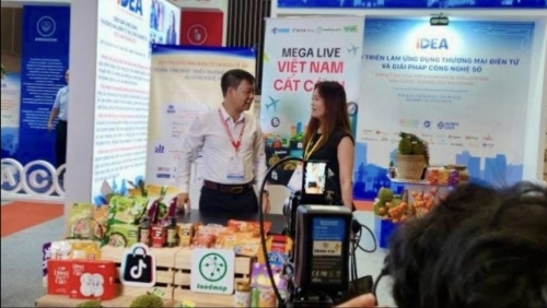 Thương mại điện tử – điểm sáng trong bức tranh kinh tế số Việt Nam