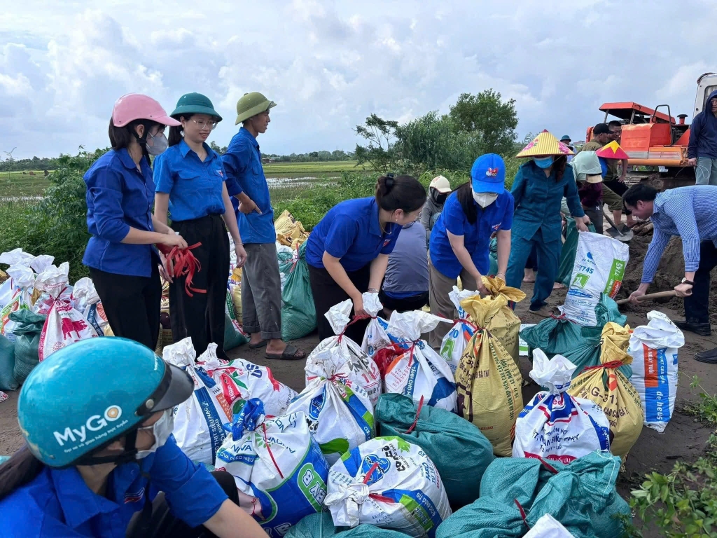 Thanh niên Thủ đô đắp đê ngăn lũ, hỗ trợ Nhân dân khắc phục hậu quả sau cơn bão số 10
