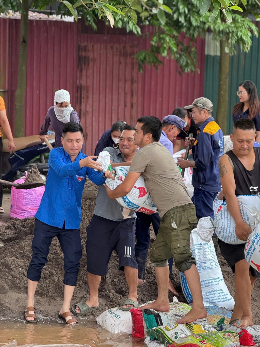 Thanh niên Thủ đô đắp đê ngăn lũ, hỗ trợ Nhân dân khắc phục hậu quả sau cơn bão số 10