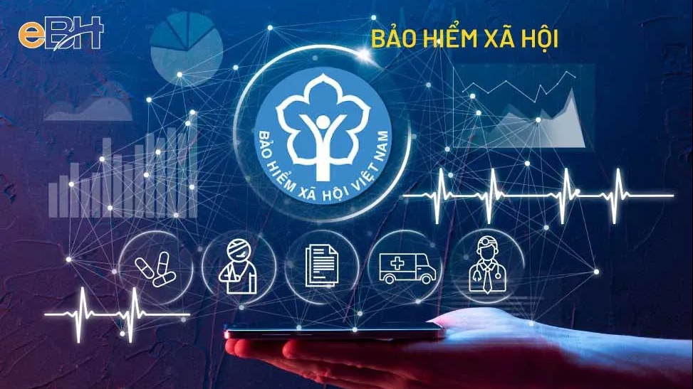 Cơ cấu tổ chức của Bảo hiểm xã hội Việt Nam