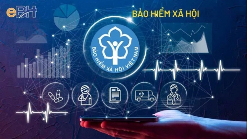 Cơ cấu tổ chức của Bảo hiểm xã hội Việt Nam