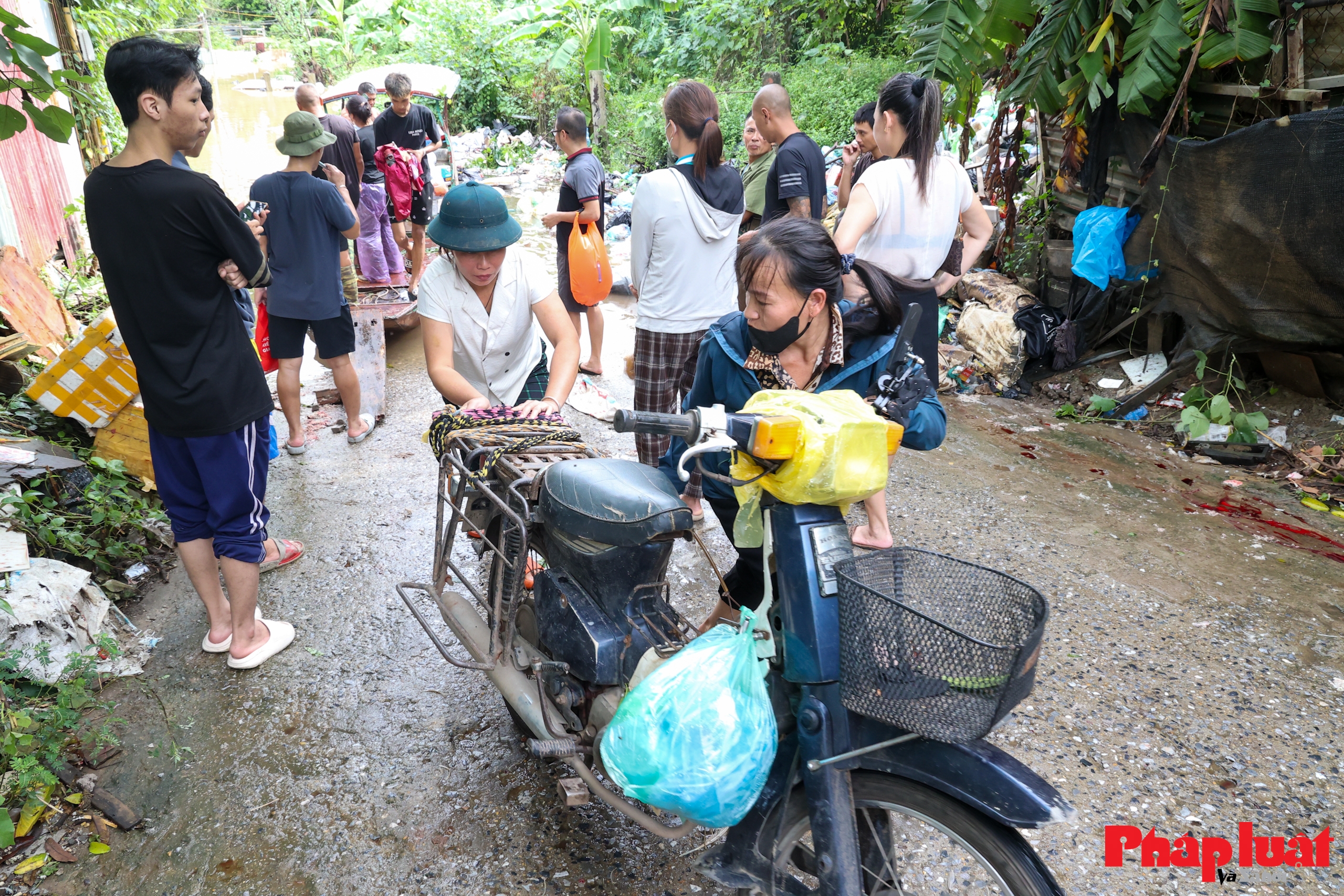 Mưa lớn ngập sâu, nhiều khu vực bãi giữa sông Hồng Hà Nội bị cô lập