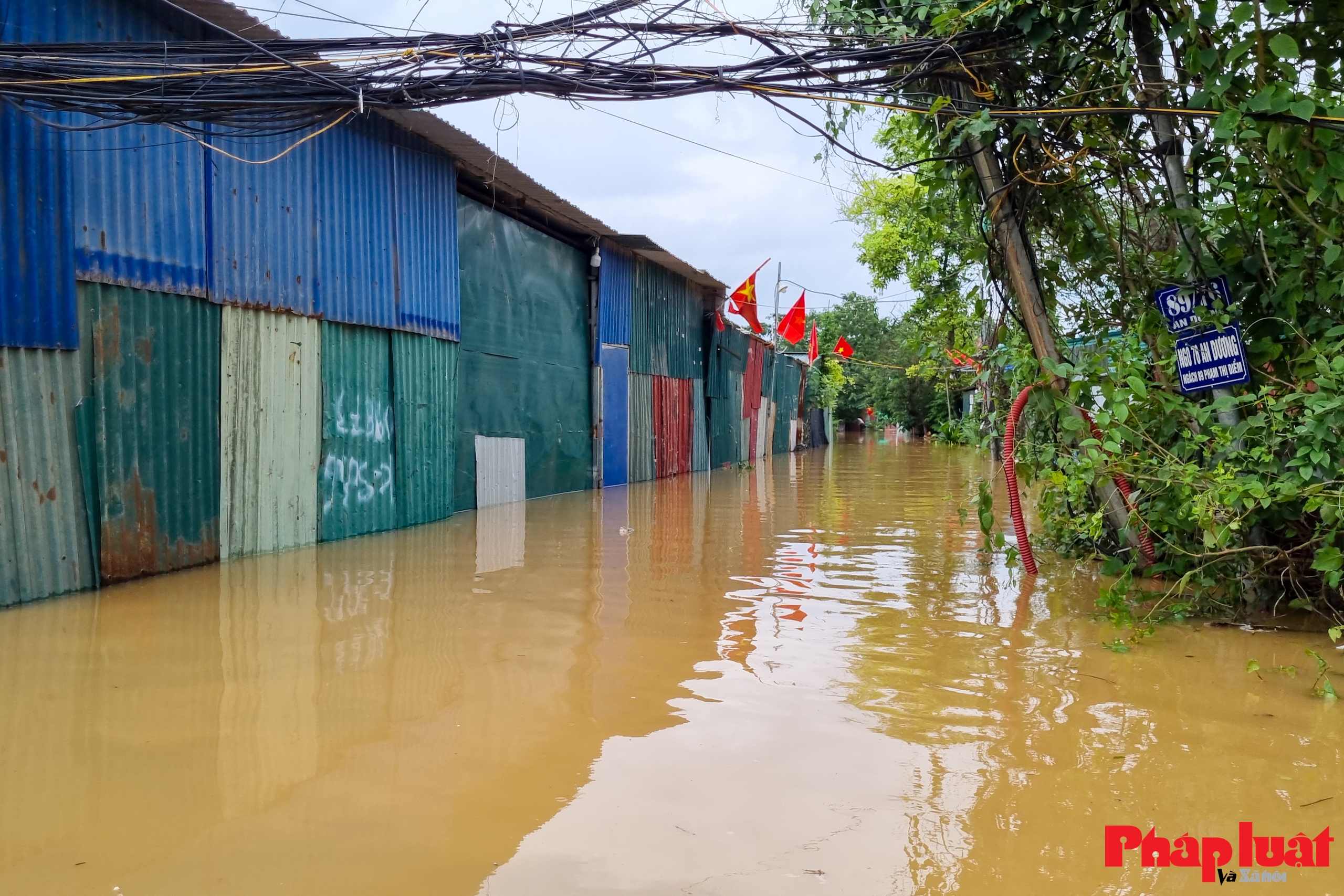 Mưa lớn ngập sâu, nhiều khu vực bãi giữa sông Hồng Hà Nội bị cô lập