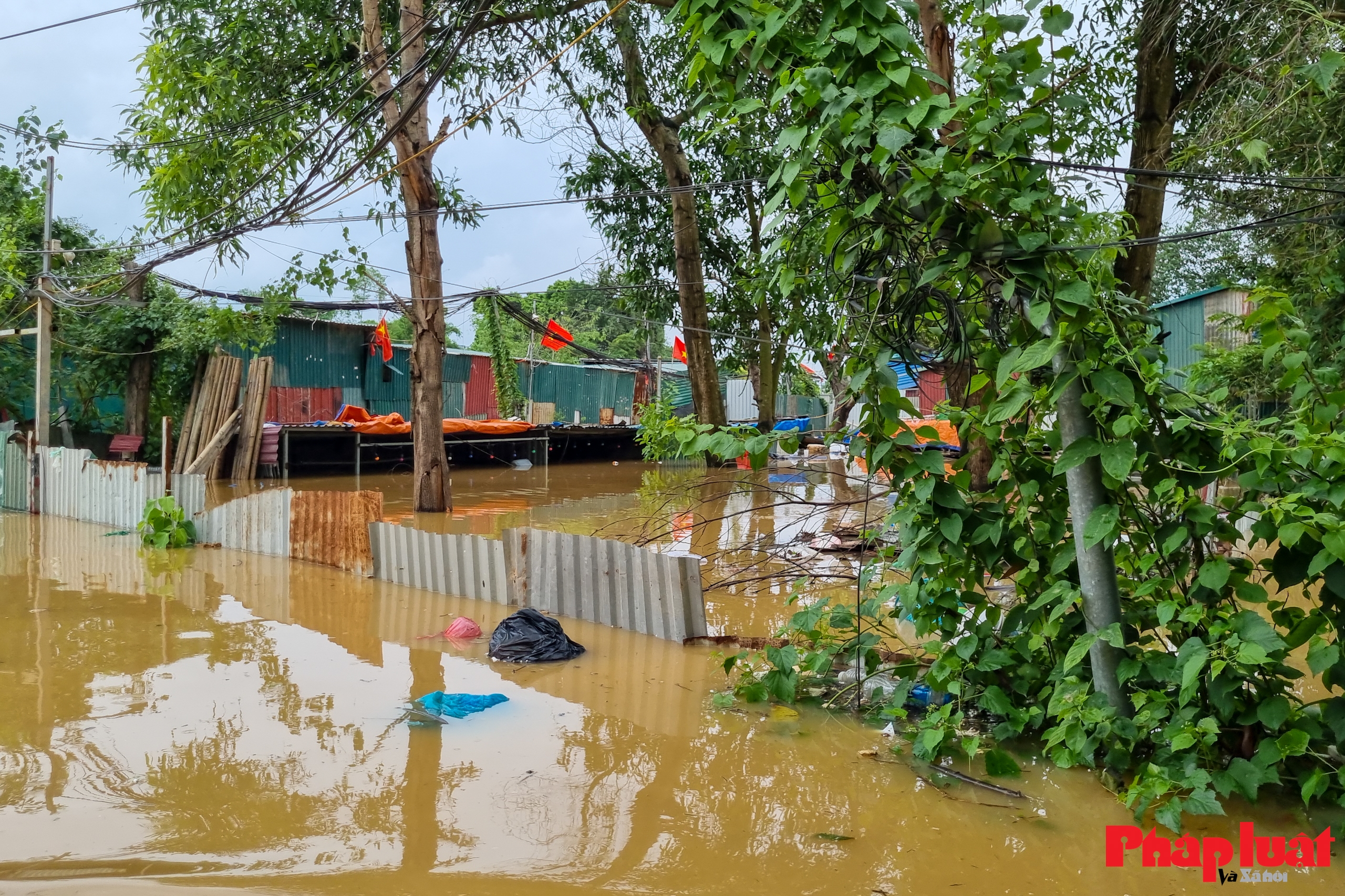 Mưa lớn ngập sâu, nhiều khu vực bãi giữa sông Hồng Hà Nội bị cô lập