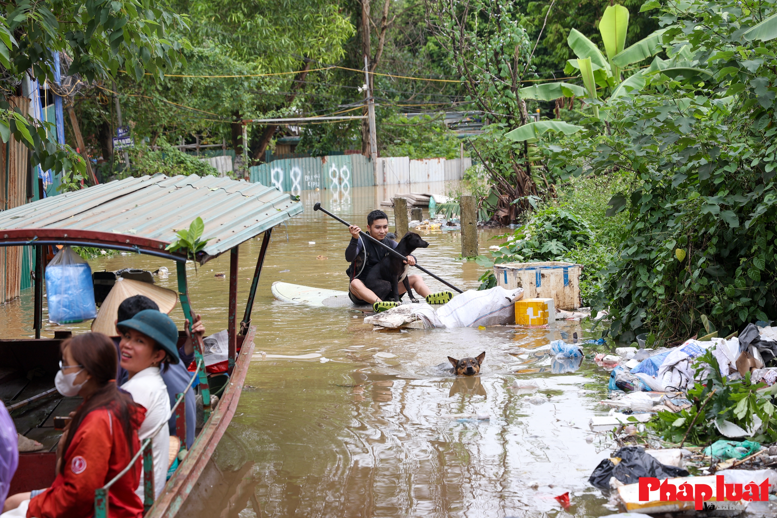 Mưa lớn ngập sâu, nhiều khu vực bãi giữa sông Hồng Hà Nội bị cô lập