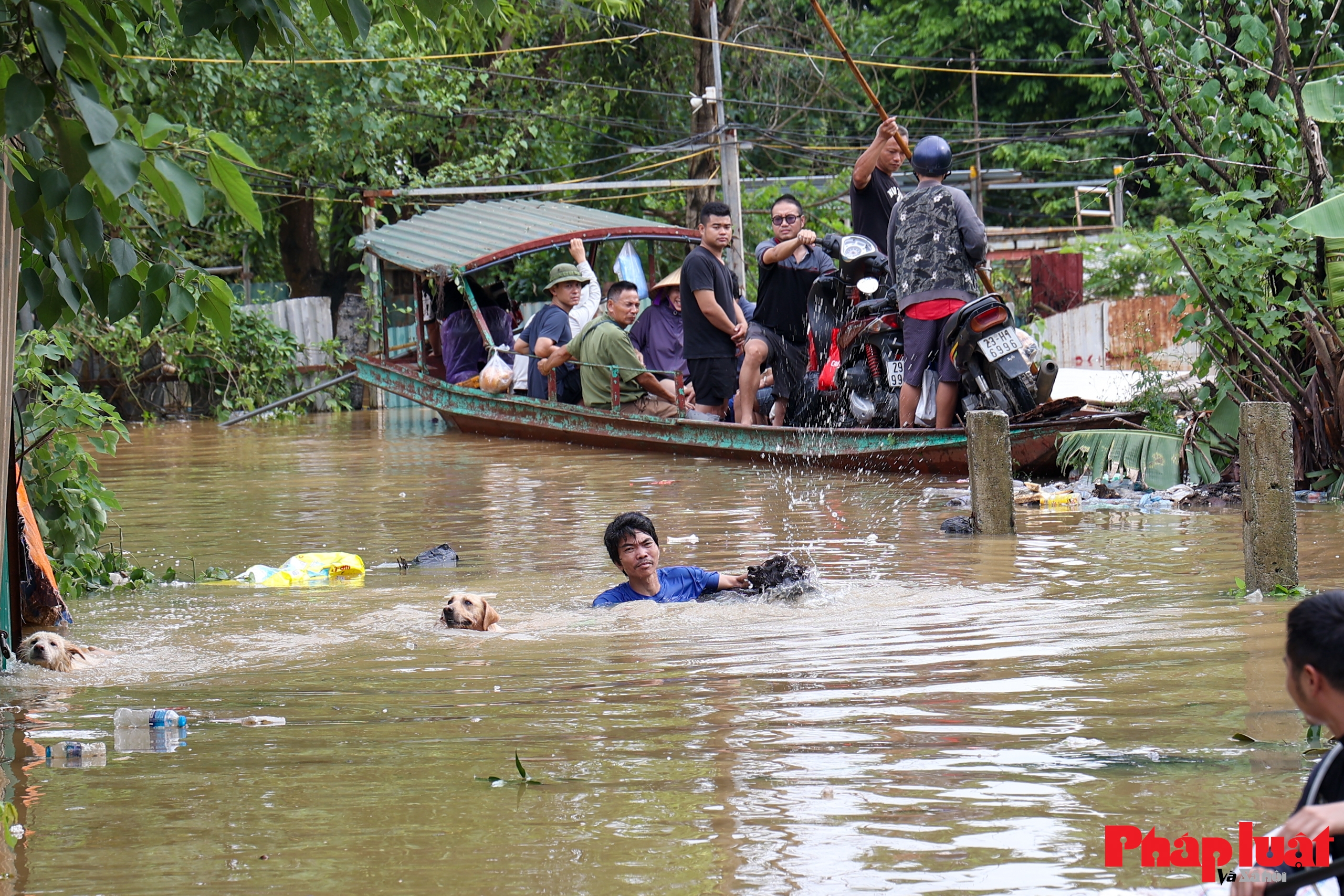 Mưa lớn ngập sâu, nhiều khu vực bãi giữa sông Hồng Hà Nội bị cô lập
