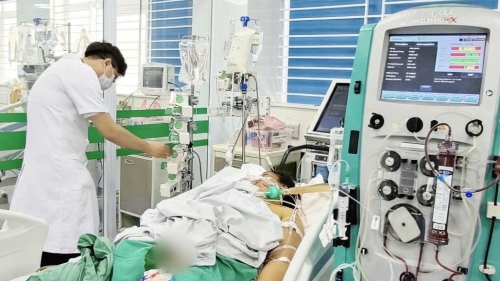 Nữ công nhân sốc, suy đa tạng nghi do nhiễm xoắn khuẩn vàng da