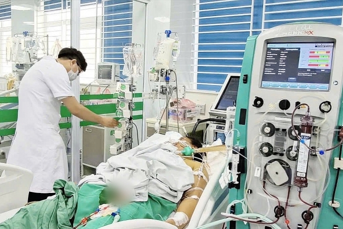 Nữ công nhân sốc, suy đa tạng nghi do nhiễm xoắn khuẩn vàng da