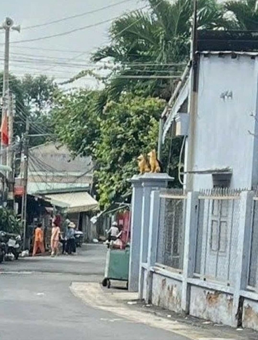 Hiện trường gần khu vực bé gái bị sát hại, Ảnh: VD