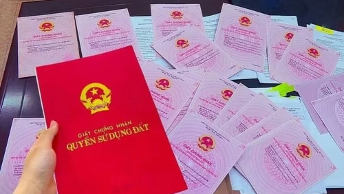 Nhờ thông gia giúp làm sổ đỏ bất thành