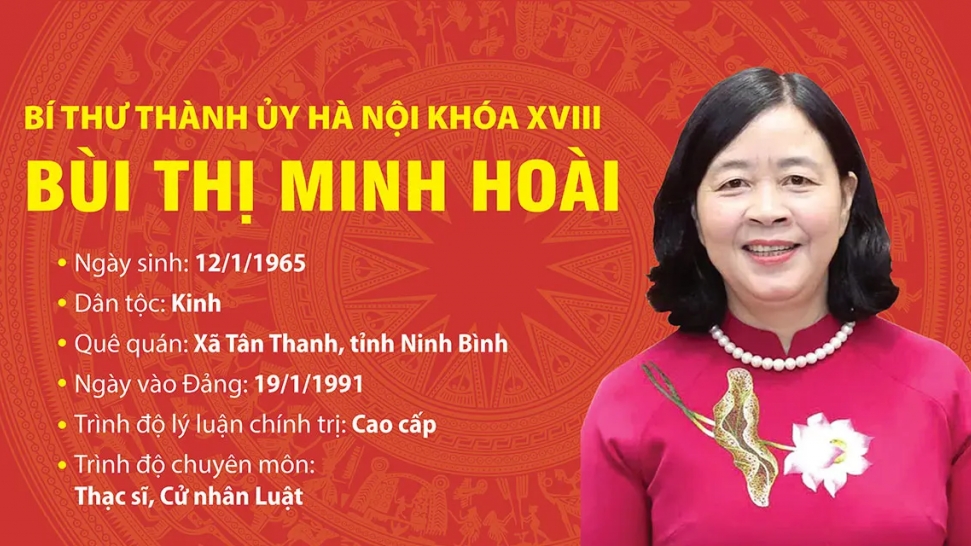 Tóm tắt tiểu sử Bí thư Thành ủy Hà Nội Bùi Thị Minh Hoài