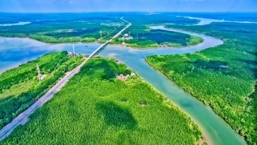 Tựa rừng, hướng biển, kết nối bằng tàu cao tốc: công thức vàng cho đô thị đáng sống nhất Việt Nam