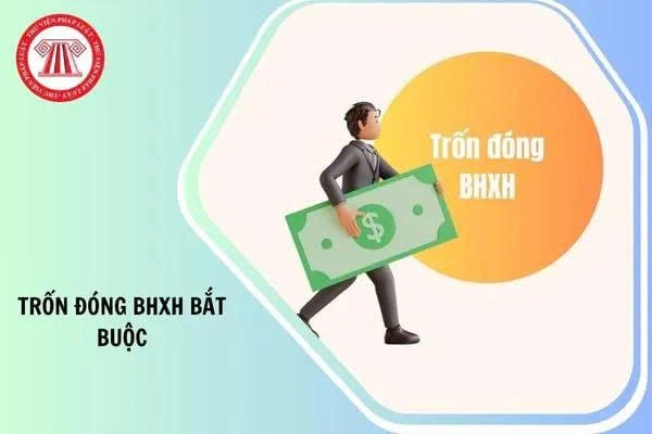 Ảnh minh họa Ảnh minh họa