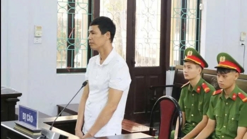 Vụ án “gà lôi trắng”: không có án nên không cần xóa án tích