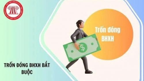 Số tiền, số ngày trốn đóng bảo hiểm xã hội bắt buộc, bảo hiểm thất nghiệp