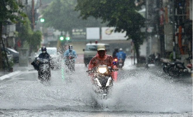 Ảnh minh họa Ảnh minh họa