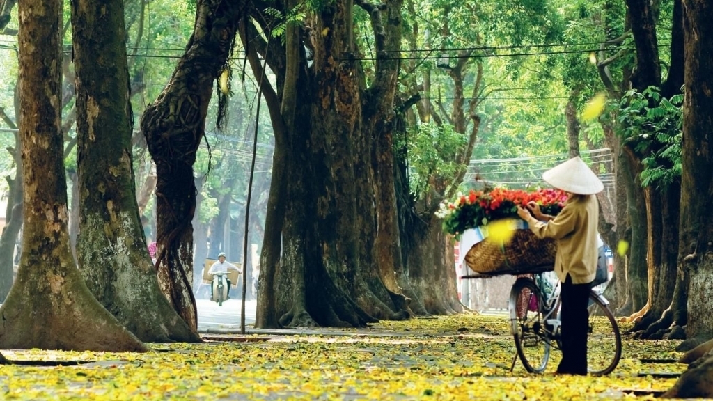 Vạt nắng cuối trời