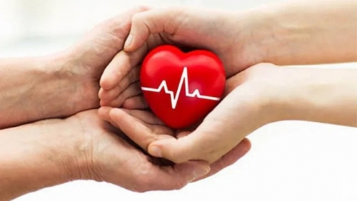 Quyền hiến, nhận mô, bộ phận cơ thể người và hiến, lấy xác