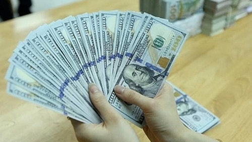 Tỷ giá USD hôm nay 29/10/2025: đồng USD biến động mạnh