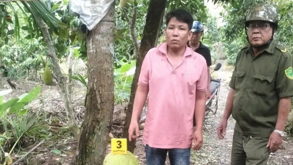 Vì sao bị khởi tố khi trộm 2 trái mít?