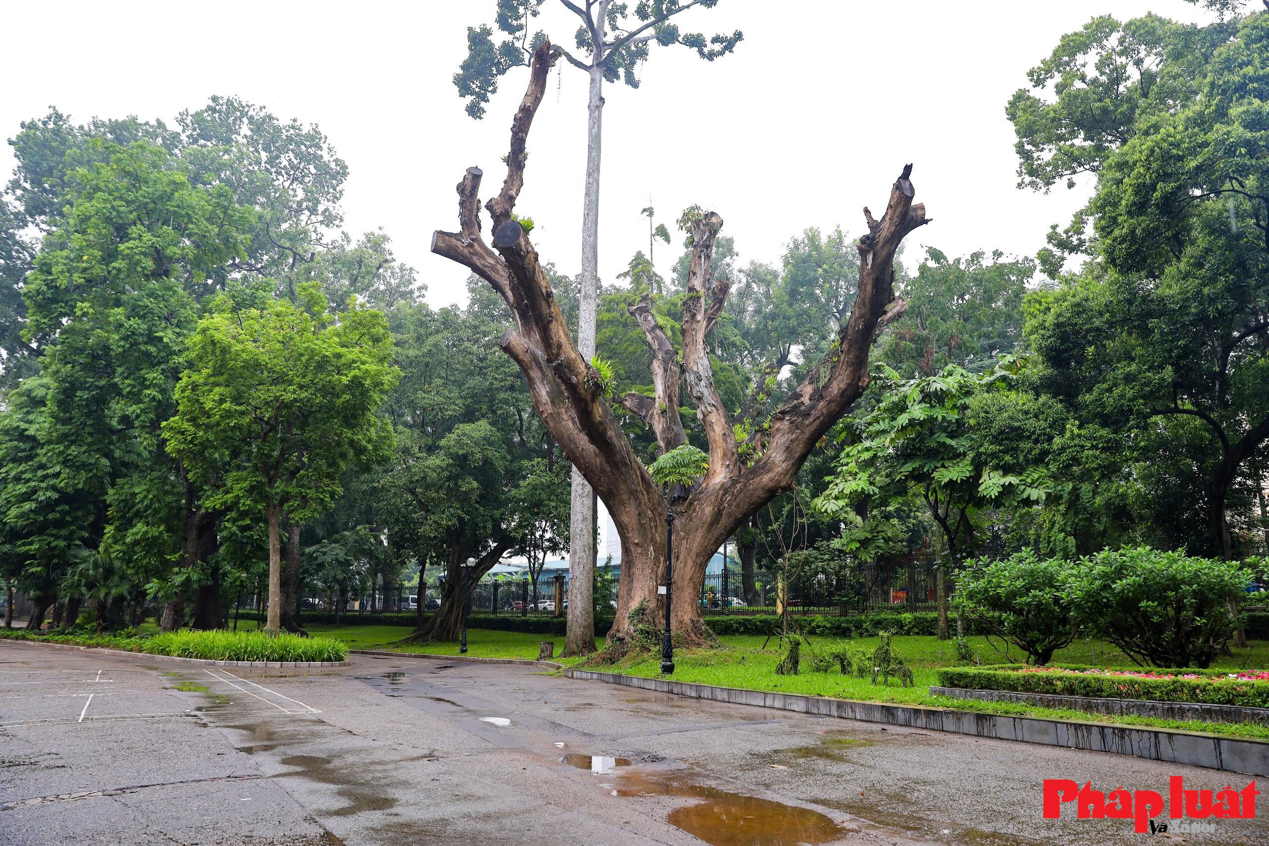 Hiện trạng công viên Bách Thảo trước ngày được tu sửa Hiện trạng công viên Bách Thảo trước ngày được tu sửa