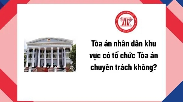 Nhiệm vụ cụ thể của từng Tòa chuyên trách