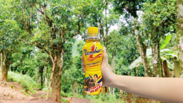 Cô gái 9X bền bỉ với đam mê, miệt mài thắp sáng giấc mơ mang tên “Trà Shan tuyết Việt Nam”