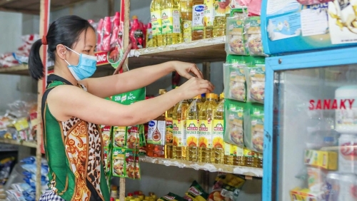 Khẩn trương hoàn thiện dữ liệu hộ kinh doanh trước ngày 15/11