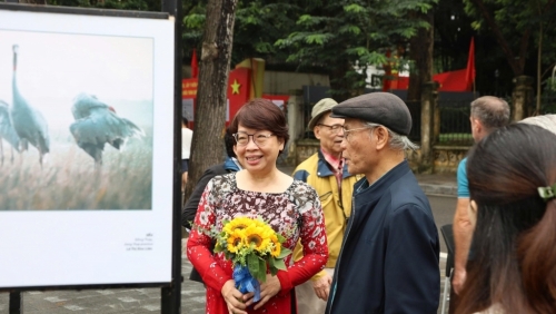 Triển lãm ảnh “Việt Nam - Tôi yêu”: Tôn vinh vẻ đẹp quê hương qua ống kính nhiếp ảnh