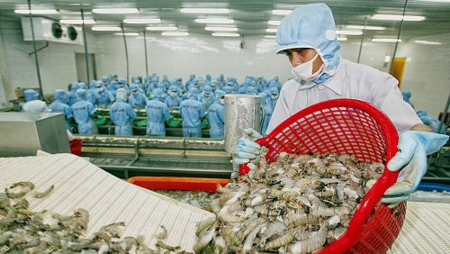 Việt Nam chi gần 3 tỷ USD nhập khẩu thủy sản trong 10 tháng, cao nhất từ trước đến nay