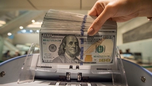 Tỷ giá USD hôm nay 13/11/2025: đồng USD biến động