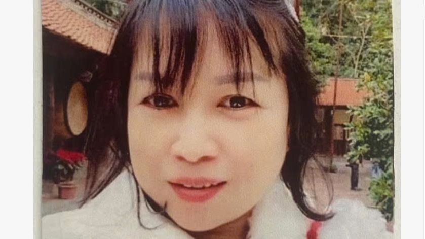 Khởi tố Trần Ngọc Bích, Giám đốc Công ty TNHH TM và du lịch Bắc Á