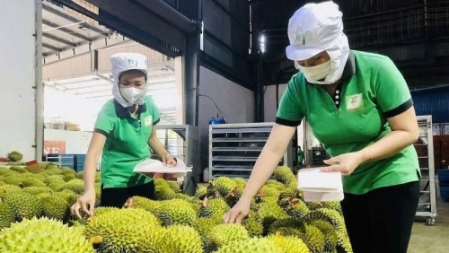 Rau quả Việt Nam hướng tới kỷ lục mới