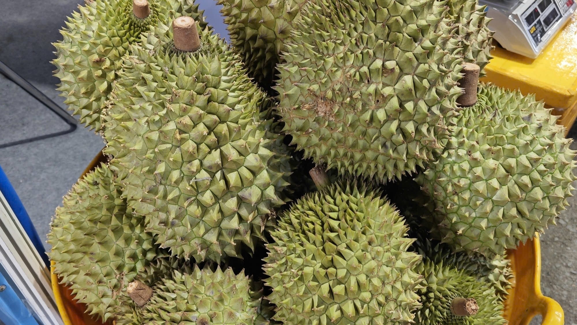 Xuất khẩu rau quả đạt 7,8 tỷ USD sau 11 tháng, sầu riêng và dừa dẫn đầu tăng trưởng