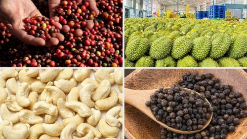 Xuất khẩu nông, lâm, thủy sản vượt 64 tỷ USD sau 11 tháng