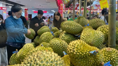 Xuất khẩu rau quả tăng trưởng ấn tượng nhờ thị trường rộng mở