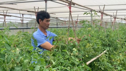 Hà Nội tăng cường quản lý thực phẩm trước thách thức thương mại số