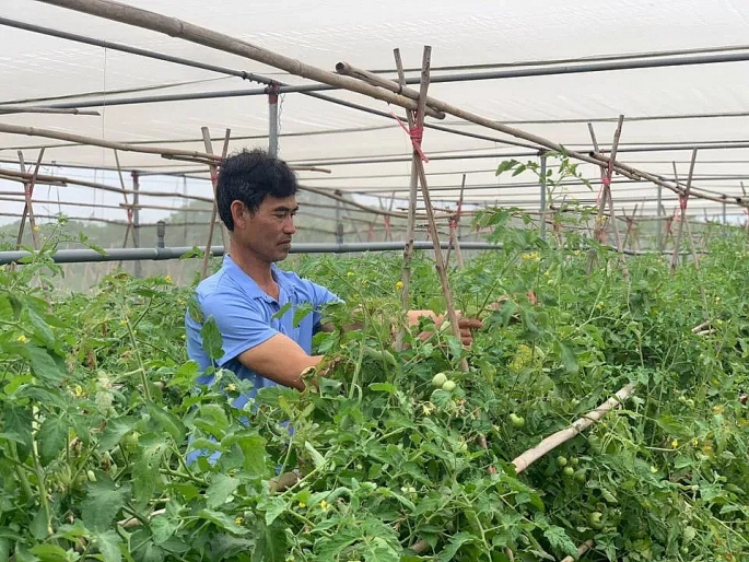 Hà Nội tăng cường quản lý thực phẩm trước thách thức thương mại số Hà Nội tăng cường quản lý thực phẩm trước thách thức thương mại số