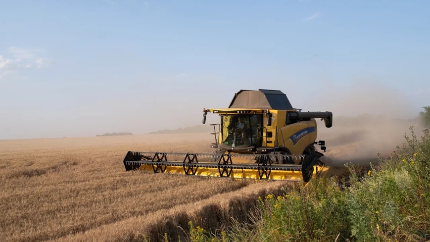 Giá lương thực toàn cầu tiếp tục giảm tháng thứ ba liên tiếp