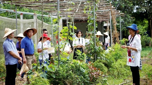 Chính sách phát triển nông nghiệp thành phố