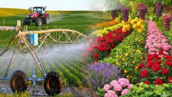 Sửa Luật Thuế giá trị gia tăng: tháo gỡ điểm nghẽn cho nông nghiệp