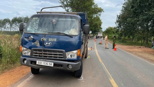 Vụ tài xế cán chết người ở Đồng Nai: Phạm tội vì động cơ đê hèn?