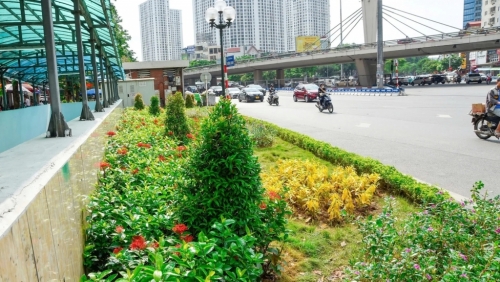 Tuyến đường bốn mùa hoa