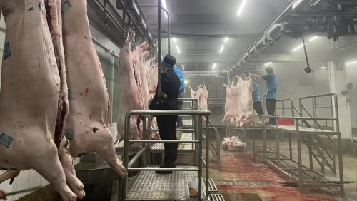 Hà Nội: Siết chặt an toàn thực phẩm trong cao điểm lễ, Tết