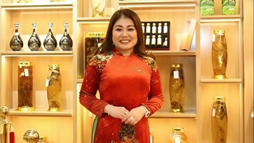 Cú lừa gần 1.300 tỷ đồng từ "trồng sâm Ngọc Linh"