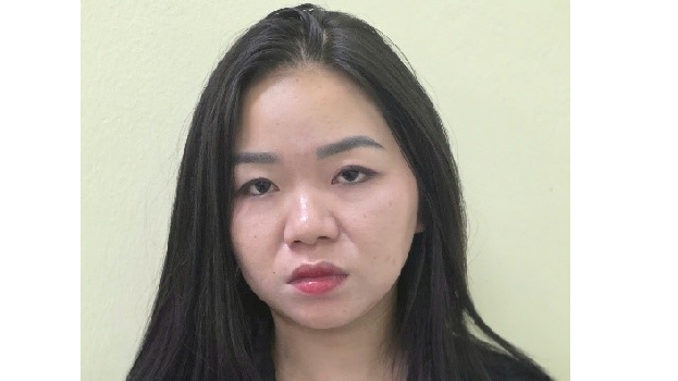 Bắt giữ Dương Thị Hoàng Yến vì hành vi môi giới mại dâm